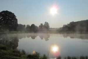 Wildcat Cabin Rentals