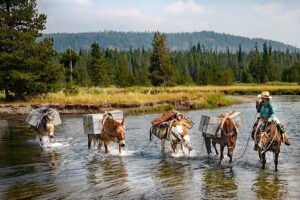 Wilderness Pack Trips- Yellowstone