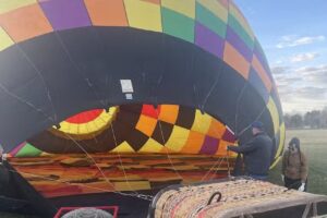 Wildflower Balloon Rides