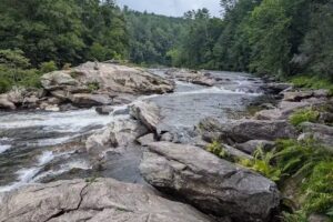 Wildwater Chattooga: Rafting & Canopy Tours