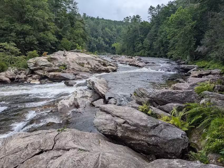 Wildwater Chattooga: Rafting & Canopy Tours