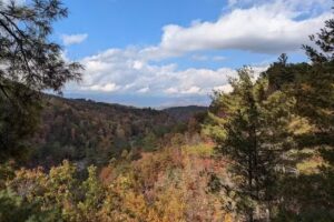 Wildwater Nantahala Rafting & Canopy Tours