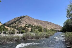 Wildwater River Guides