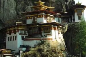 Williams Luxury Travel