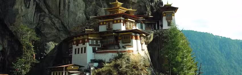 Williams Luxury Travel