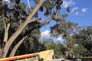 Williams Travel & Management LLC