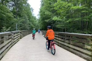 Williamsburgonwheels