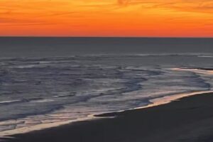 Williamson Realty Vacations