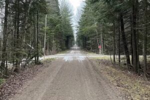 Willows Creek Vacation Rental – Secluded Log Cabin Near Mackinaw City