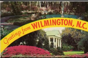 Wilmington Travel And Cruise/Leland Travel