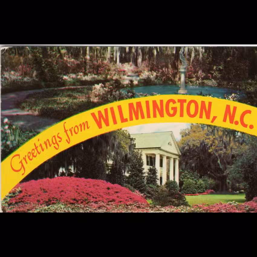 Wilmington Travel And Cruise/Leland Travel