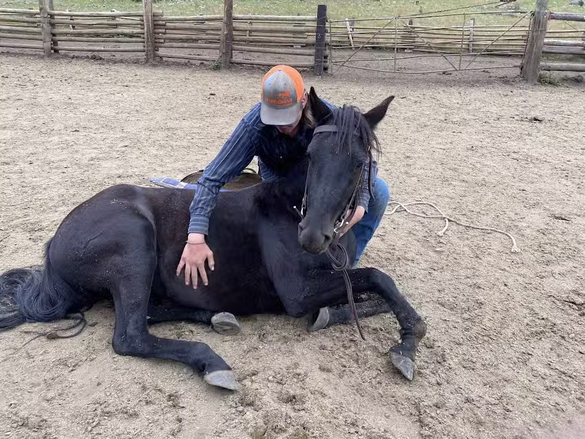 Wiltbank&rsquo;s Y6 Ranch