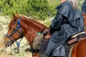 Wind In Your Hair Riding