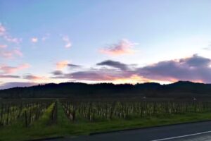 Wine Country Getaways