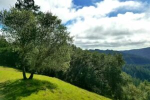 Wine Country to Coast Vacation Rentals