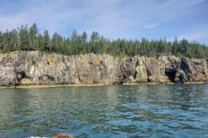 Winter Harbor Water Taxi and Tours