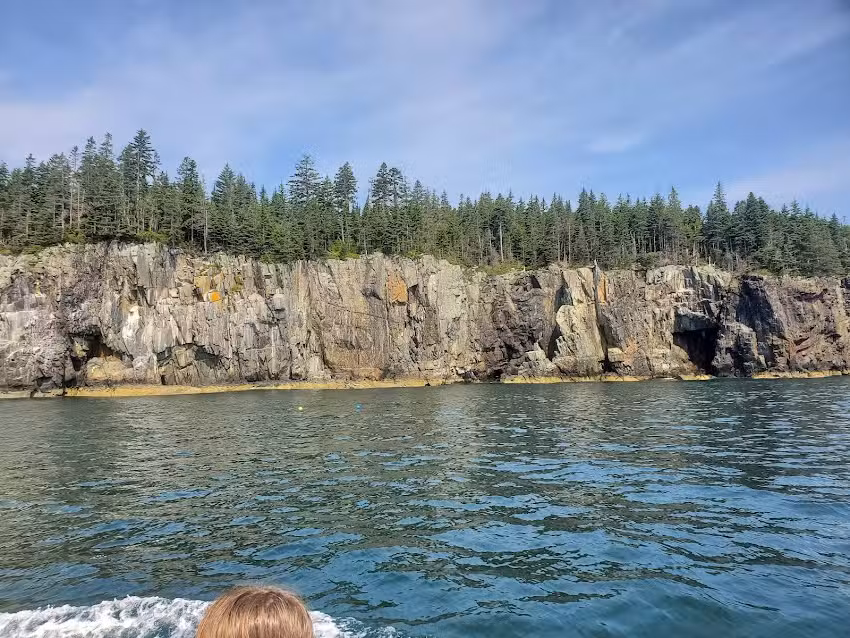 Winter Harbor Water Taxi and Tours