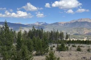 Winter Park Trail Rides