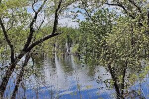 Wisconsin Welcome Center – La Crosse