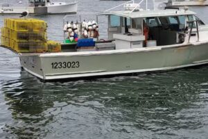 Wolf’s Bus Lines, Inc.