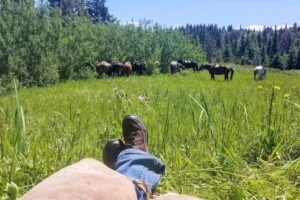 Wolfpack Outfitters Inc