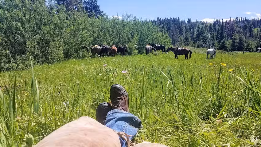 Wolfpack Outfitters Inc