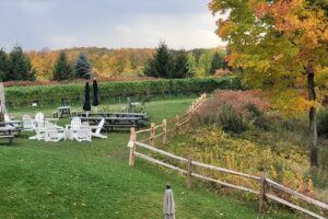 Wonderland Tours And Transportation