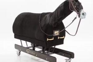 Wooden Horse Corporation Equicizer