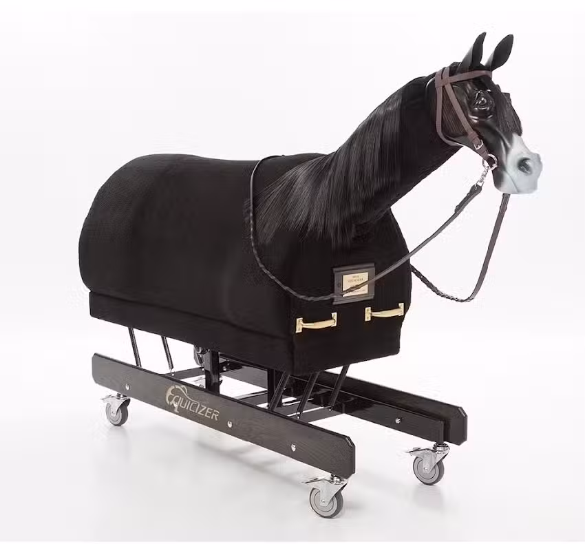 Wooden Horse Corporation Equicizer