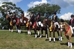 Woodland Horse Center