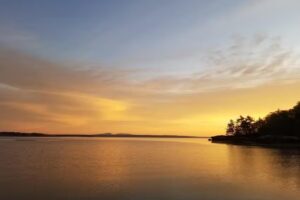 Woodland Park Cottages