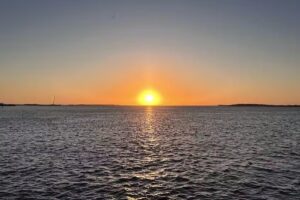 Woodys Last Stand/ Dolphin Watch Nature Tours