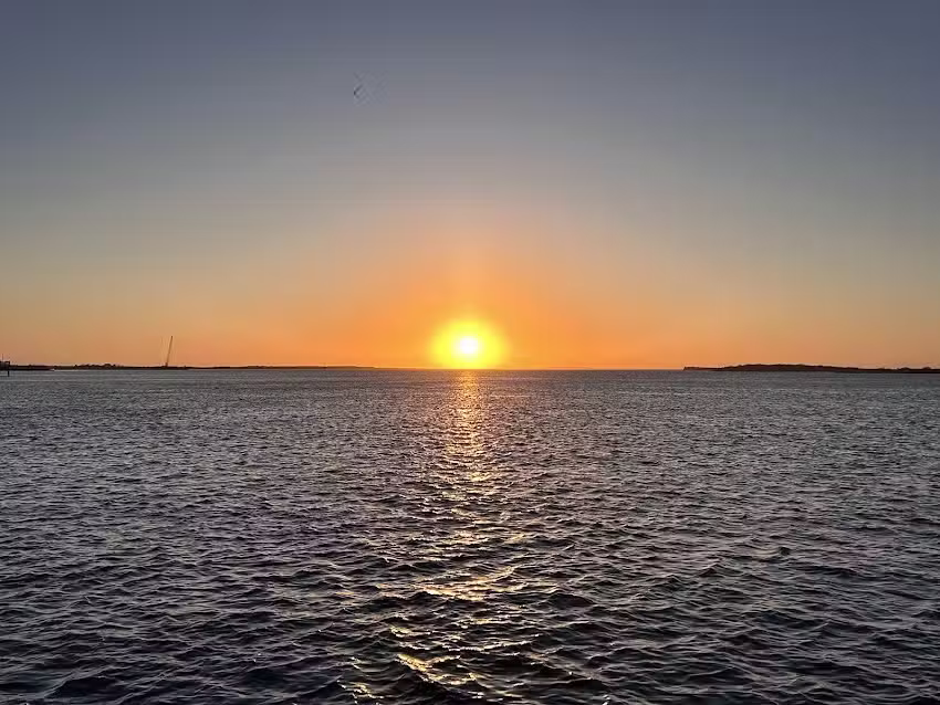 Woodys Last Stand/ Dolphin Watch Nature Tours