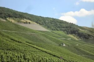 World and Wine Getaways