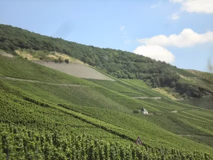 World and Wine Getaways