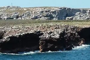 World Wide Vacations, LLC