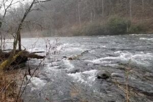 Worldwide Travel Services