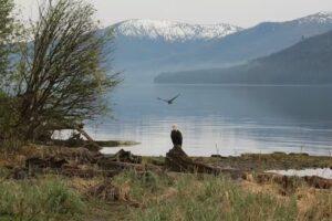 Wrangell Visitor Center