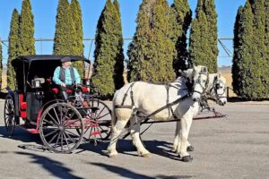 Yakima Valley Carriage Company