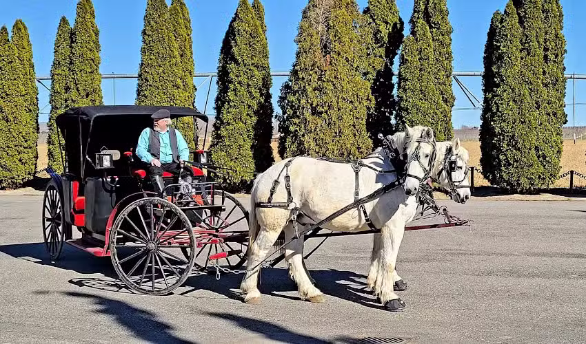 Yakima Valley Carriage Company