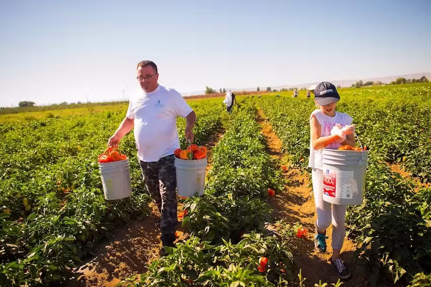 Yakima Valley Tourism