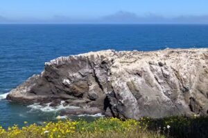 Yaquina Head Interpretation Center