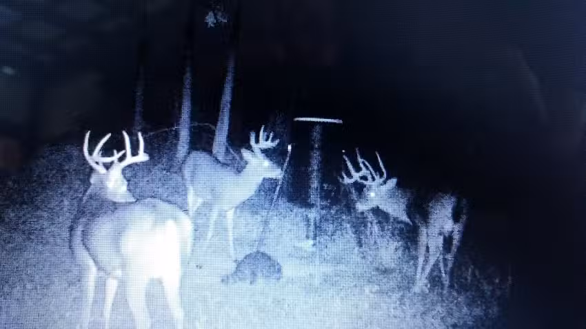 Ye Ole Hillbilly Lodge & Outfitter