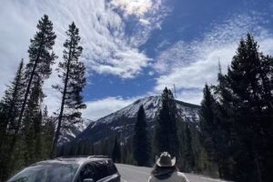 Yellowstone Guidelines