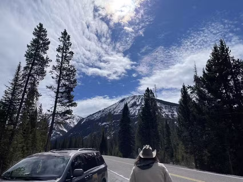 Yellowstone Guidelines