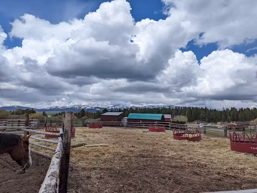 Yellowstone Horses at Eagle Ridge Ranch