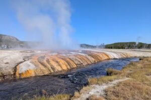 Yellowstone Safari Company