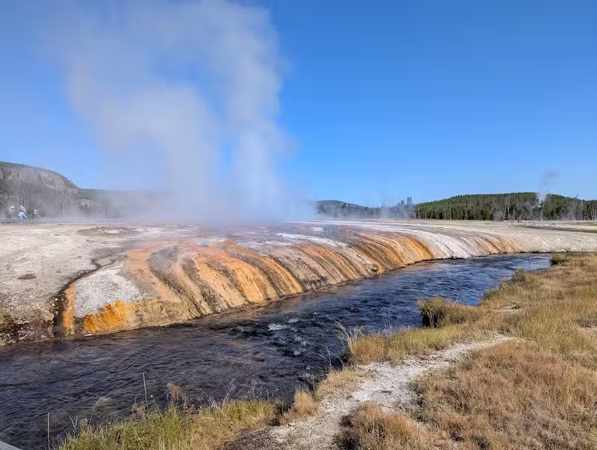 Yellowstone Safari Company