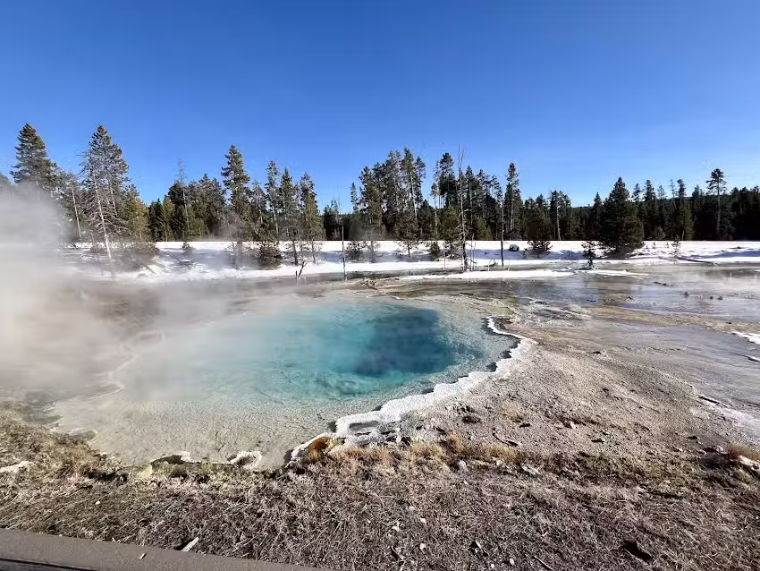 Yellowstone Vacation Tours