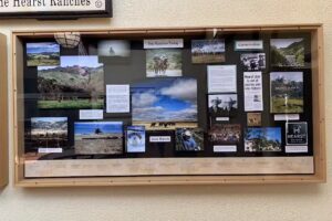 Yellowstone Wilderness Outfitters